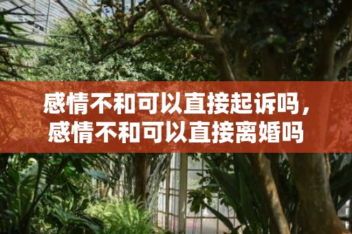 感情不和可以直接起诉吗，感情不和可以直接离婚吗