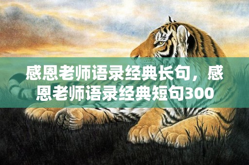 感恩老师语录经典长句，感恩老师语录经典短句300