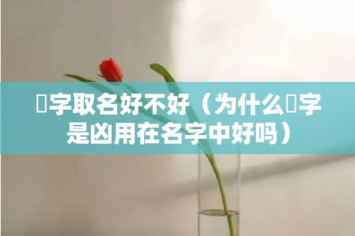 旸字取名好不好（为什么旸字是凶用在名字中好吗）
