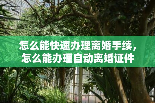 怎么能快速办理离婚手续，怎么能办理自动离婚证件