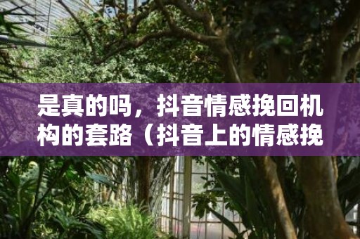 是真的吗，抖音情感挽回机构的套路（抖音上的情感挽回顾问能信吗）