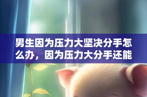 男生因为压力大坚决分手怎么办，因为压力大分手还能挽回吗（因为压力大分手还能挽回吗男生）