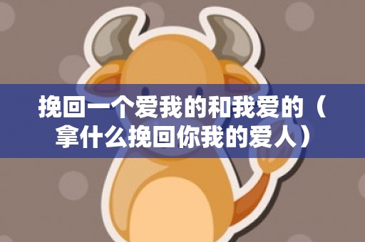 挽回一个爱我的和我爱的（拿什么挽回你我的爱人）