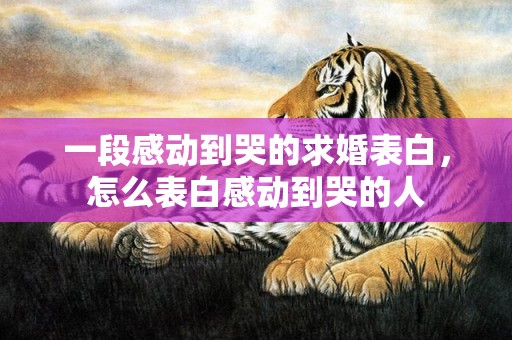 一段感动到哭的求婚表白，怎么表白感动到哭的人