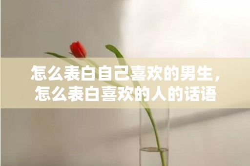 怎么表白自己喜欢的男生，怎么表白喜欢的人的话语