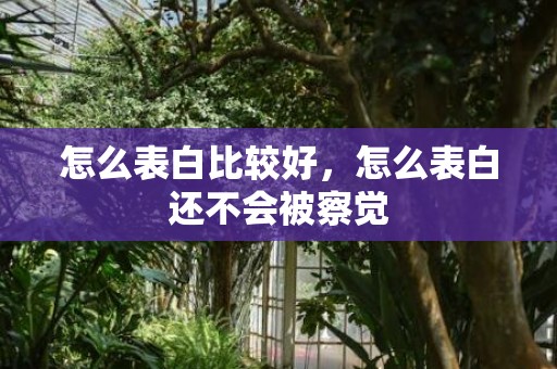 怎么表白比较好，怎么表白还不会被察觉