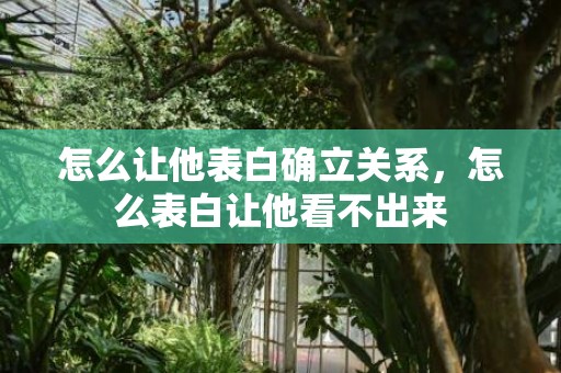 怎么让他表白确立关系，怎么表白让他看不出来
