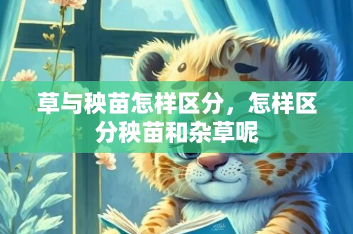 草与秧苗怎样区分，怎样区分秧苗和杂草呢