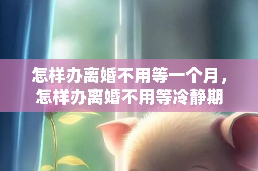 怎样办离婚不用等一个月，怎样办离婚不用等冷静期