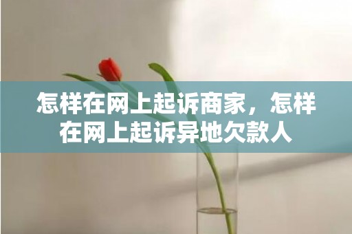 怎样在网上起诉商家，怎样在网上起诉异地欠款人