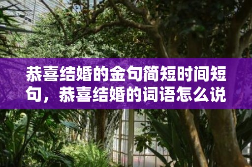 恭喜结婚的金句简短时间短句，恭喜结婚的词语怎么说