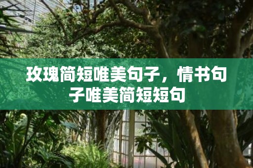 玫瑰简短唯美句子，情书句子唯美简短短句
