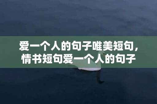 爱一个人的句子唯美短句，情书短句爱一个人的句子