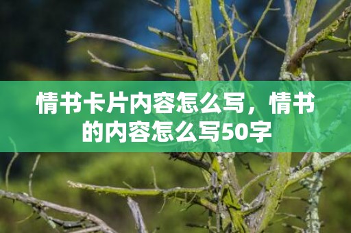 情书卡片内容怎么写，情书的内容怎么写50字