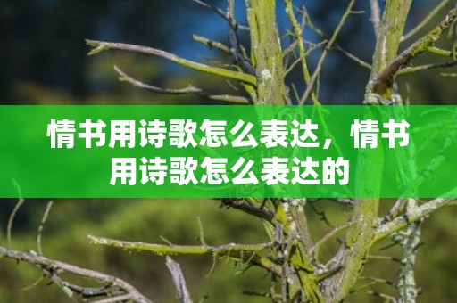情书用诗歌怎么表达，情书用诗歌怎么表达的