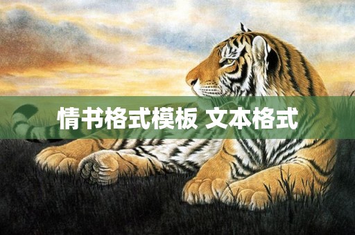 情书格式模板 文本格式