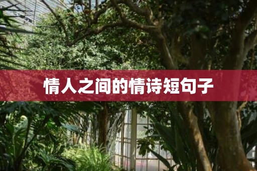 情人之间的情诗短句子