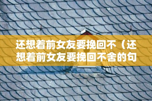 还想着前女友要挽回不（还想着前女友要挽回不舍的句子）