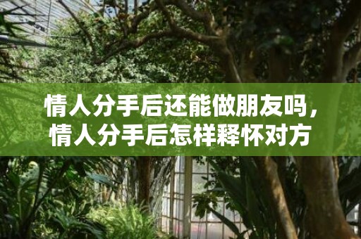 情人分手后还能做朋友吗，情人分手后怎样释怀对方