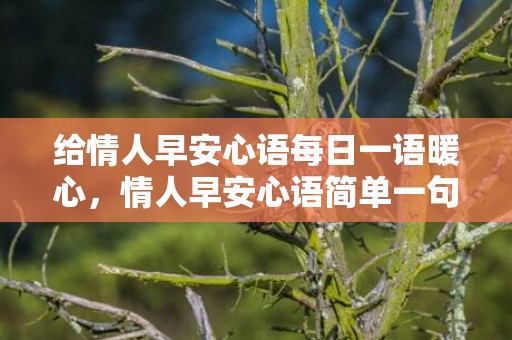 给情人早安心语每日一语暖心，情人早安心语简单一句话