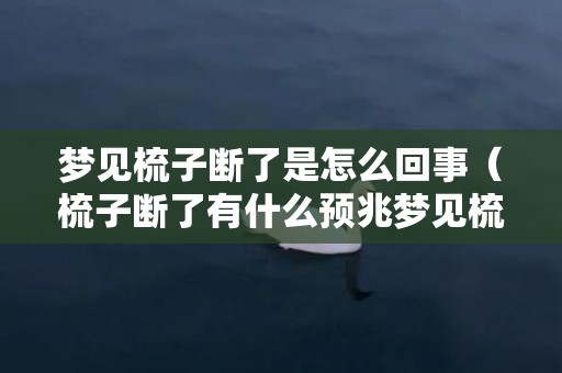 梦见梳子断了是怎么回事（梳子断了有什么预兆梦见梳子断了有什么预兆）