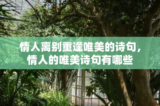情人离别重逢唯美的诗句，情人的唯美诗句有哪些