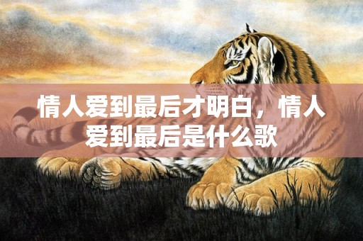 情人爱到最后才明白，情人爱到最后是什么歌