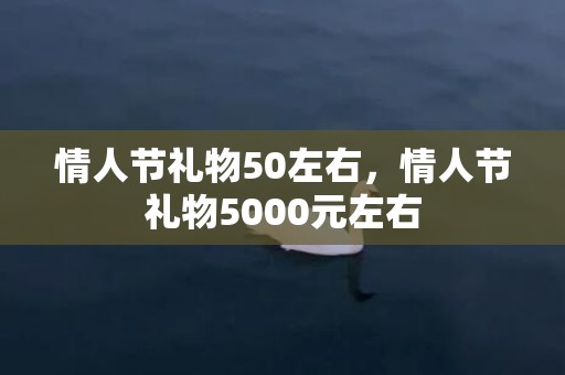 情人节礼物50左右，情人节礼物5000元左右