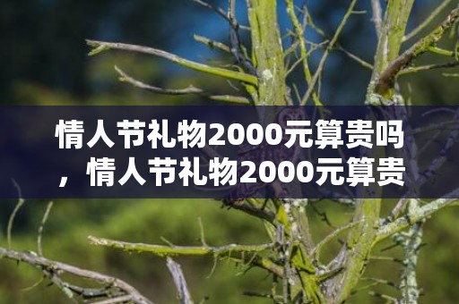情人节礼物2000元算贵吗，情人节礼物2000元算贵吗