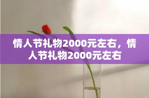 情人节礼物2000元左右，情人节礼物2000元左右