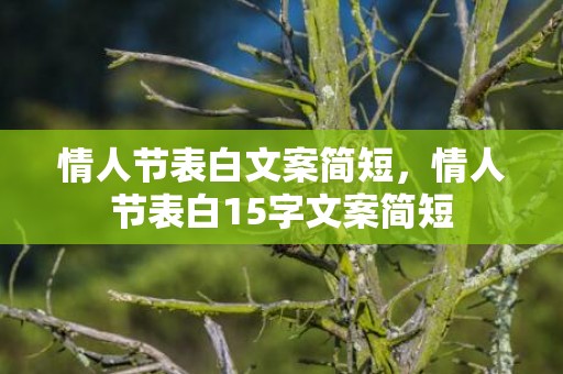 情人节表白文案简短，情人节表白15字文案简短