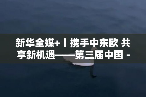 新华全媒+丨携手中东欧 共享新机遇——第三届中国－中东欧国家博览会展现开放合作新气象