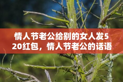 情人节老公给别的女人发520红包，情人节老公的话语暖心