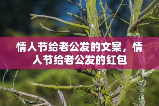 情人节给老公发的文案，情人节给老公发的红包
