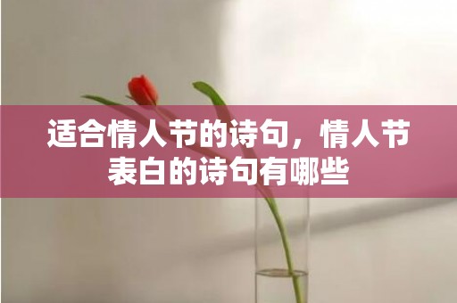 适合情人节的诗句，情人节表白的诗句有哪些