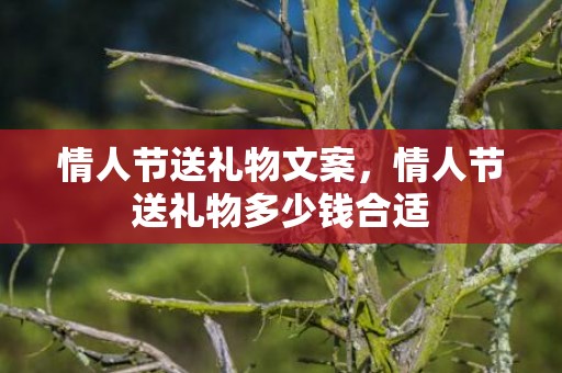 情人节送礼物文案，情人节送礼物多少钱合适