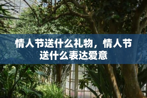 情人节送什么礼物，情人节送什么表达爱意