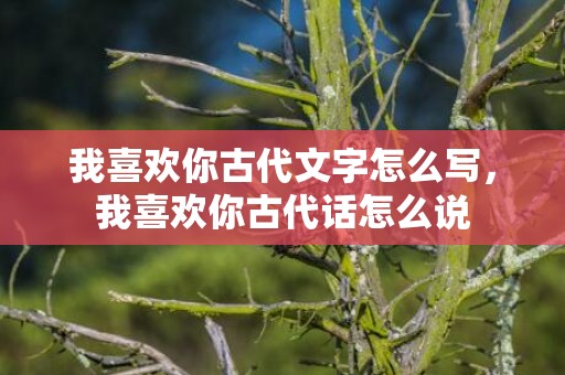 我喜欢你古代文字怎么写，我喜欢你古代话怎么说