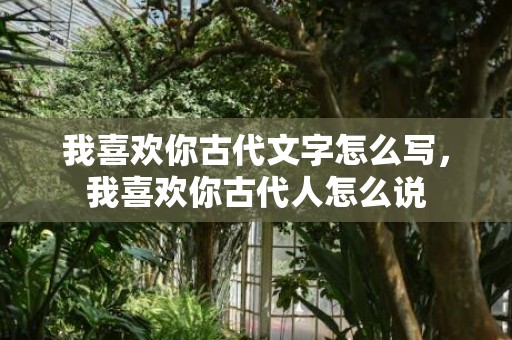 我喜欢你古代文字怎么写，我喜欢你古代人怎么说
