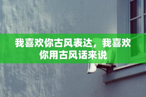 我喜欢你古风表达，我喜欢你用古风话来说