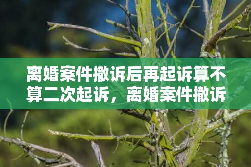 离婚案件撤诉后再起诉算不算二次起诉，离婚案件撤诉再起诉（离婚案件撤诉再起诉有效吗）