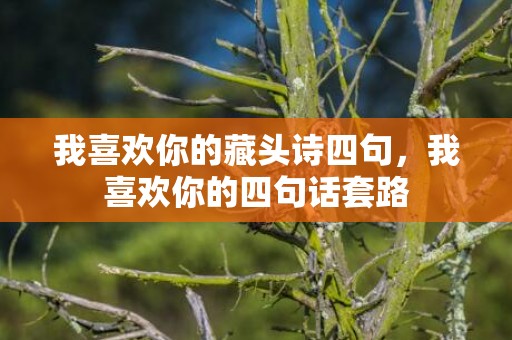 我喜欢你的藏头诗四句，我喜欢你的四句话套路
