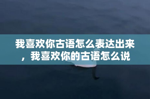 我喜欢你古语怎么表达出来，我喜欢你的古语怎么说