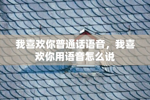我喜欢你普通话语音，我喜欢你用语音怎么说