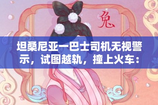 坦桑尼亚一巴士司机无视警示，试图越轨，撞上火车：致1死15伤