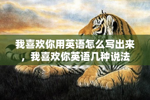 我喜欢你用英语怎么写出来，我喜欢你英语几种说法