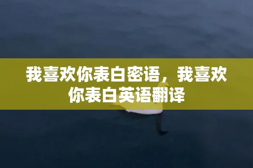 我喜欢你表白密语，我喜欢你表白英语翻译
