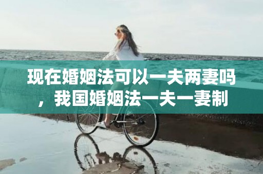 现在婚姻法可以一夫两妻吗，我国婚姻法一夫一妻制