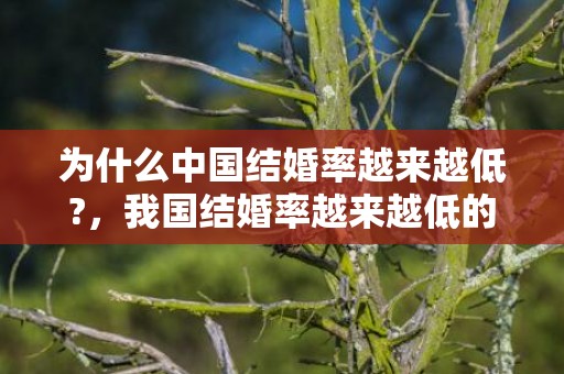 为什么中国结婚率越来越低?，我国结婚率越来越低的原因
