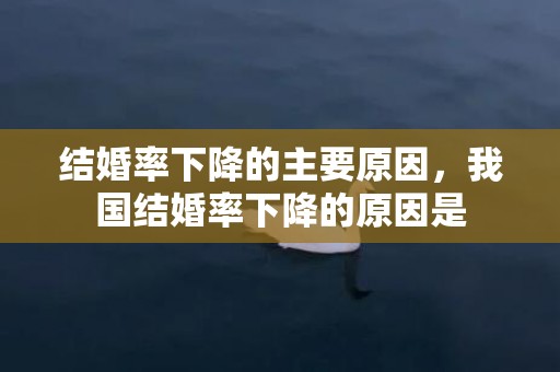 结婚率下降的主要原因，我国结婚率下降的原因是